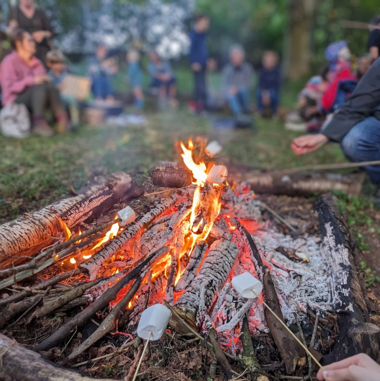 A smouldering fire toasts marshmallows whilst families sit around and chat in the background.