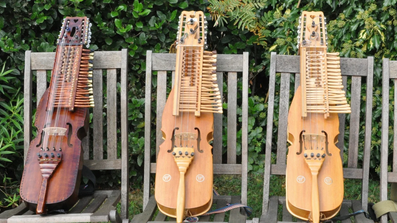 Three nyckelharpas are sat on chairs in front of green bushes.