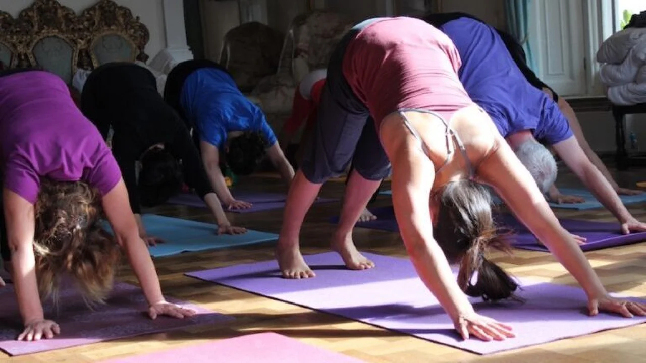 A group of people in a yoga pose - their hands and feet are on the floor with their bottoms pointing to the ceiling.